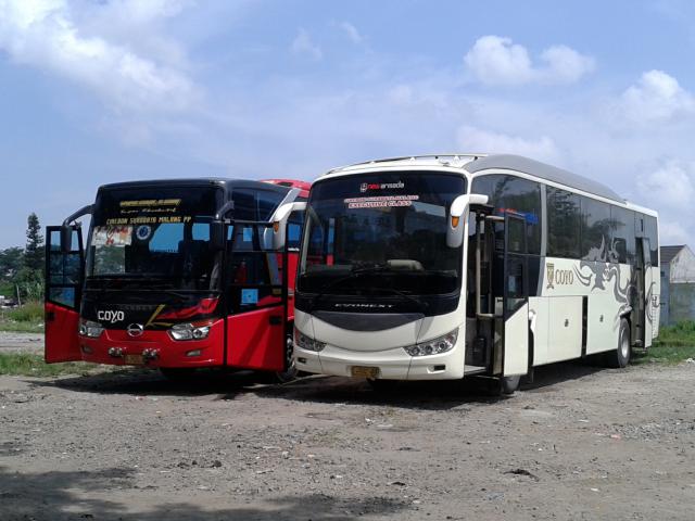 Tiket Bus Harga Bus Po Bus Agen Bus Cirebon